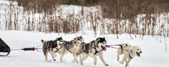 Deportes de invierno para disfrutar en Andorra desde el Sport Hotel Hermitage & Spa